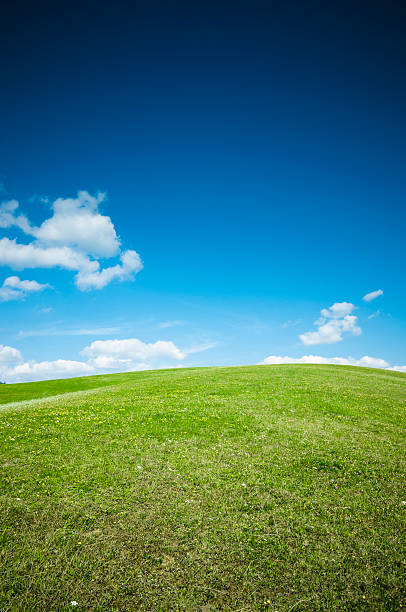 istock Green meadow and the blue sky 185920080