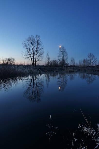istock Night landscape on the lake 185920263