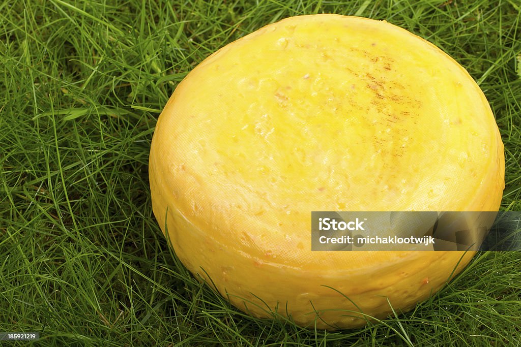 Rodada de cebola e queijo isolado no gramado - Foto de stock de Amarelo royalty-free