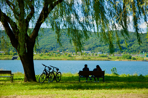 Seoul, South Korea - October 1, 2023: Two cyclists relax on a park bench under a willow tree, with their bikes beside them and the Han River in the background.