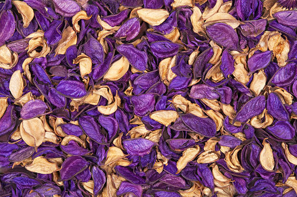 istock Beautiful background of dry flowers 185924407