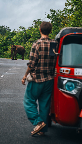 A young man watching from a distance, from a tuk-tuk vehicle, a wild elephant crossing the road.
Traveling through Sri Lanka with a rented tuktuk.