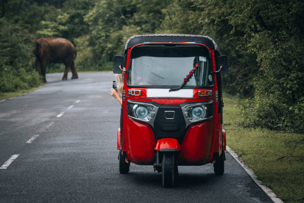Encountering a wild elephant while driving a tuk-tuk in Sri Lanka.