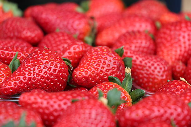 Strawbeeries stock photo