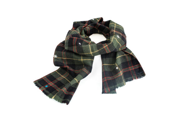 istock Cozy fluffy collar scarf chic accessory for cold weather , side view close up 1859268293