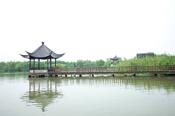  trees,lake and small bridge.