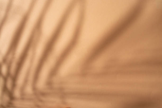 istock Peach color backdrop with plant shadows, abstract defocused photography 1859270416