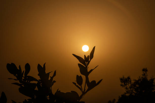 Beautiful Golden hour from Fujairah, UAE
