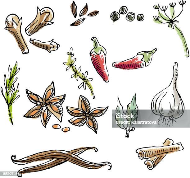 Vetores de Especiarias E Rabiscos e mais imagens de Satureia Hortensis - Satureia Hortensis, Aniz Estrelado, Condimento - Temperos