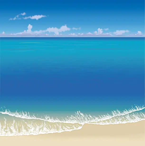 Vector illustration of Tropical sea and beach