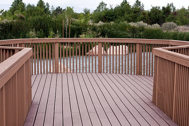 istock Board Walk trough green bushes 185929161