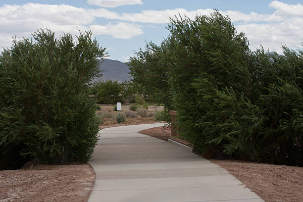 istock walk way trough bushes in a park 185929253