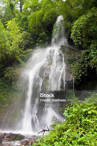 Foto de Watefall e mais fotos de stock de Ajardinado - Ajardinado, Beleza natural - Natureza, Caindo