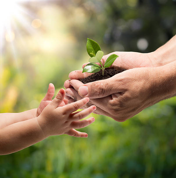 istock life in your hands - garden 185930833