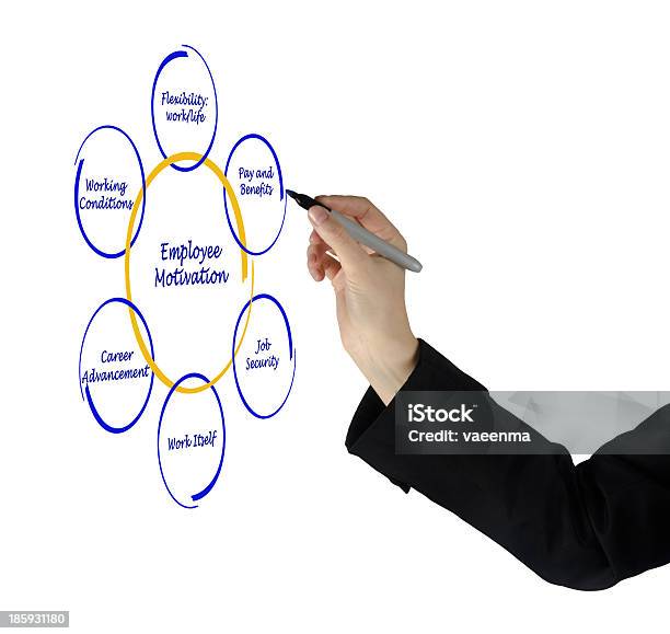 Диаграмма Сотрудника Мотивация — стоковые фотографии и другие картинки Безопасность - Безопасность, Богатство, Взрослый