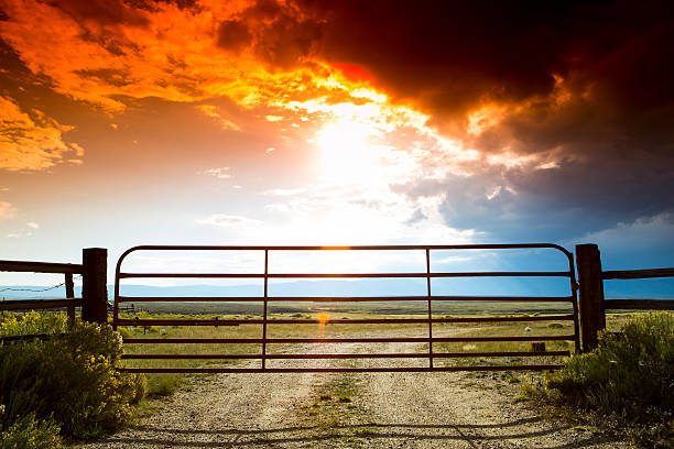 dramatyczne wejście - farm gate zdjęcia i obrazy z banku zdjęć