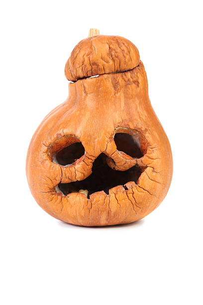istock Pumpkin halloween Jack O'Lantern afte holiday. 185931667