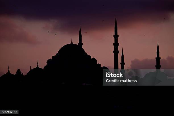 Silhouette Der Moscheen Stockfoto und mehr Bilder von Abenddämmerung - Abenddämmerung, Architektur, Außenaufnahme von Gebäuden