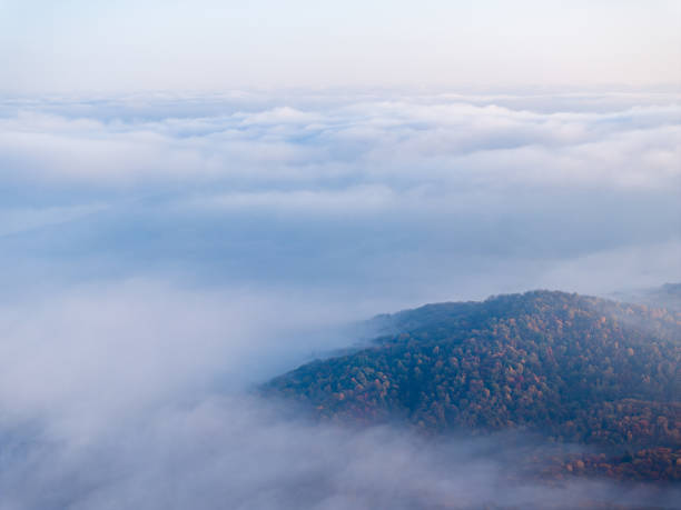 istock Autumn advection fog in forest parks 1859323428