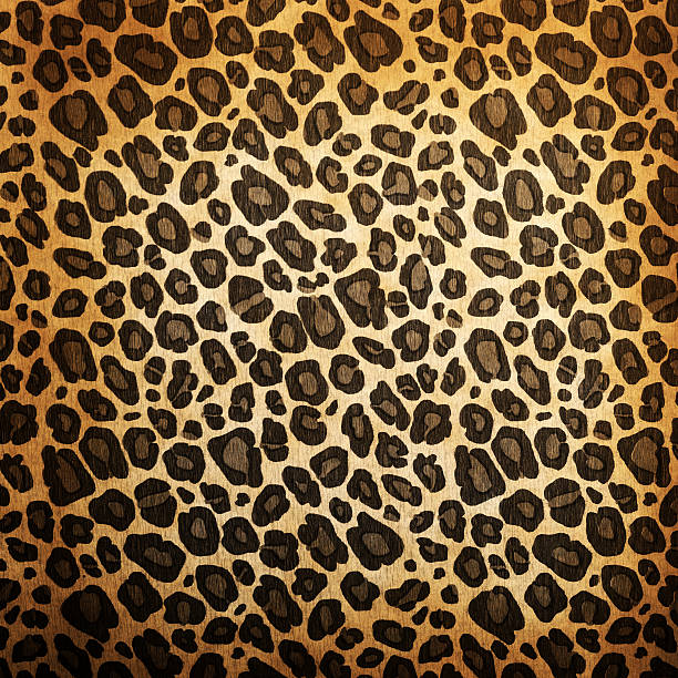 Leopard pattern Leopard pattern background or texture close up tillable stock pictures, royalty-free photos & images