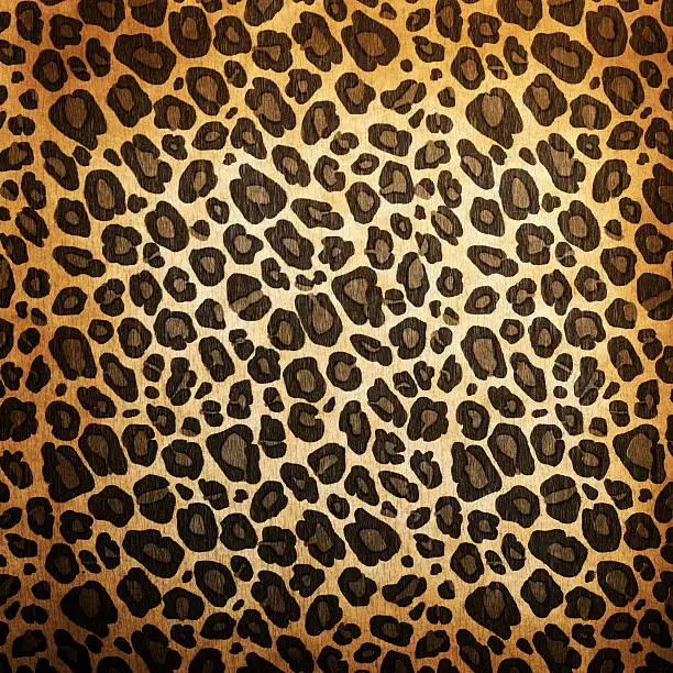 Photo of Leopard pattern