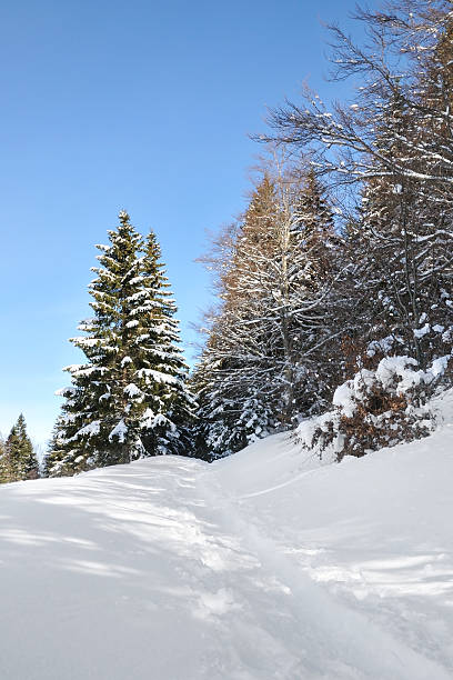 Photo of Winter landscape