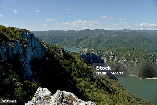 Gole Del Danubio - Fotografie stock e altre immagini di Acqua - Acqua, Acqua fluente, Albero