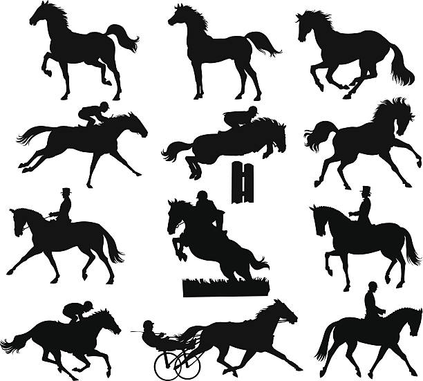 ilustrações, clipart, desenhos animados e ícones de silhuetas de cavalos - hurdling hurdle vector silhouette