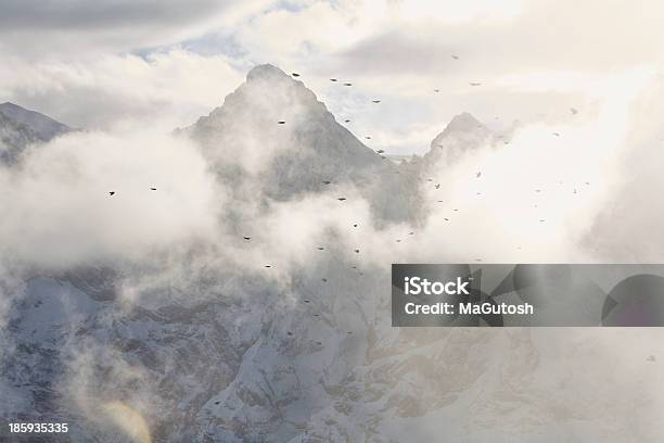 Bisweilen Lassen Sich Schwärme Von Vögel Fliegen Pass Snowy Mountains Stockfoto und mehr Bilder von Alpen