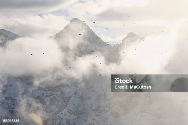 Foto de Bandos De Pássaros Voando De Montanhas Nevadas e mais fotos de stock de Alpes europeus - Alpes europeus, Alpes suíços, Azul