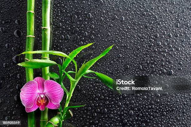 Drops Orchid And Bamboo On Black Stock Photo - Download Image Now - Asia, Bamboo - Plant, Black Color