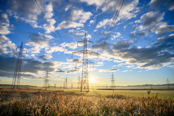 istock Electric power lines at sunrise 1859360106