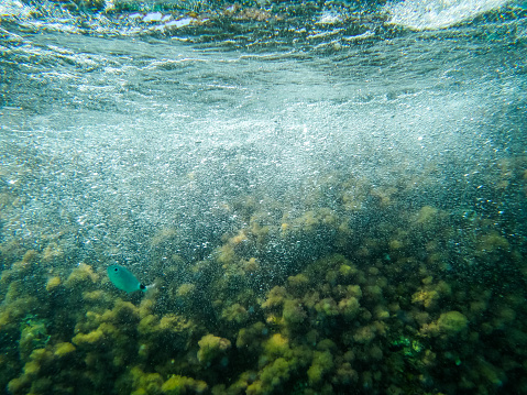 Underwater photography of waves breaking on the rocks on the shore. Mediterranean Sea, Almeria, Spain.