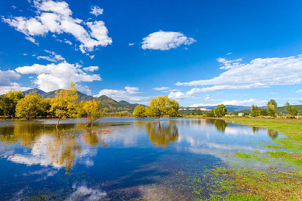 istock wetland of autumn 185936088
