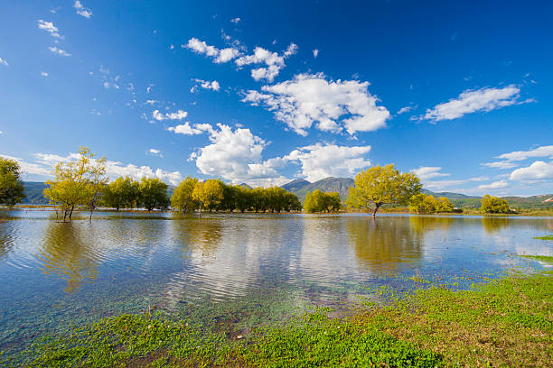 zone humide d'automne - lijiang landscape wetland marsh photos et images de collection