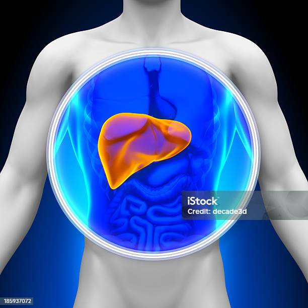 Radiografía Médicahígado Exploración Foto de stock y más banco de imágenes de Agresión - Agresión, Anatomía, Asistencia sanitaria y medicina