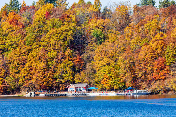 istock Volcano Forest Park in Autumn 1859382438