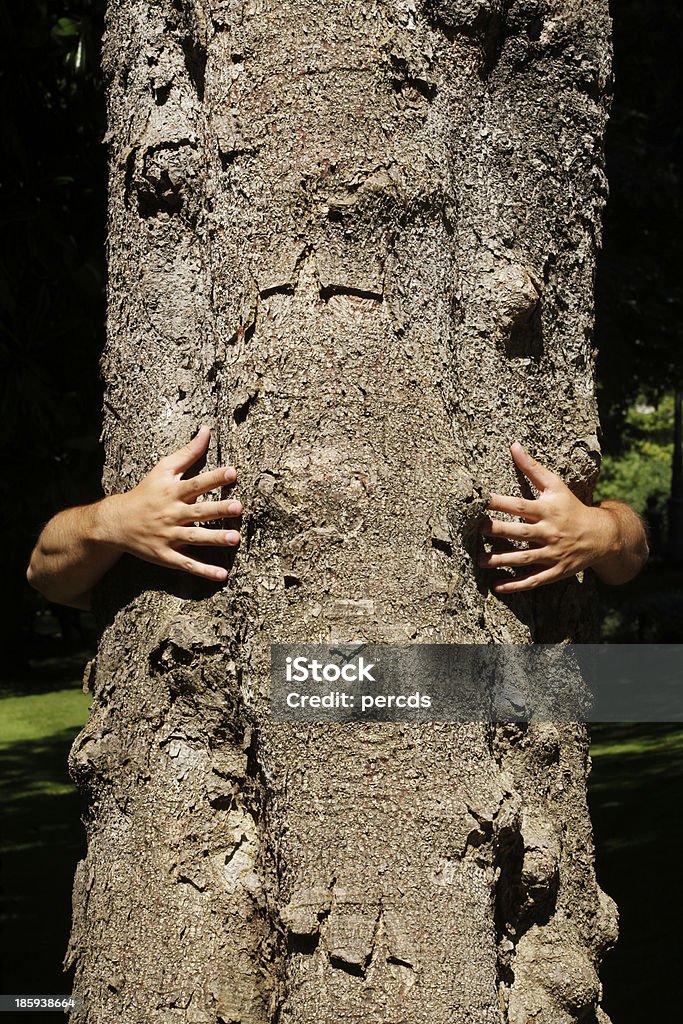 Abbracciare un tronco d'albero. - Foto stock royalty-free di Corteccia