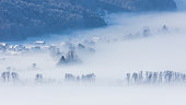 Ground fog covering farmland and trees on a beautiful winter landscape