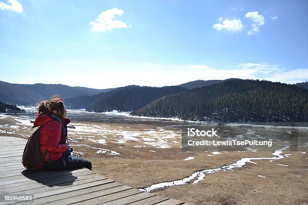 Menina Olhar Para A Frente Para A Neve Prado - Fotografias de stock e mais imagens de Adolescente - Adolescente, Adulto, Fotografia - Imagem