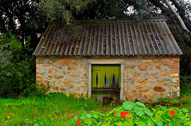 istock Country living 185941023