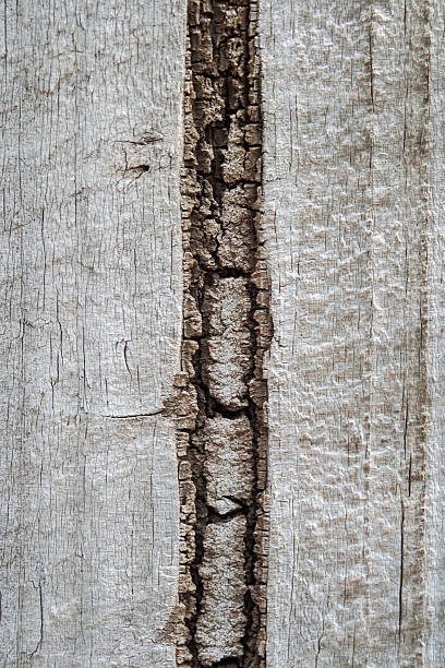 istock Wooden Background, Vertical Crack. 185941462