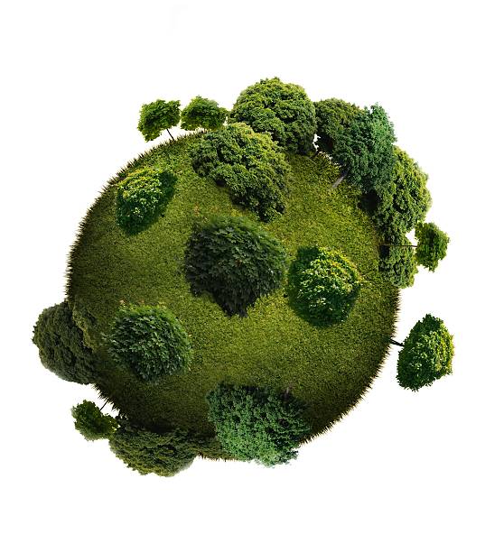 istock woodland planet 185943274