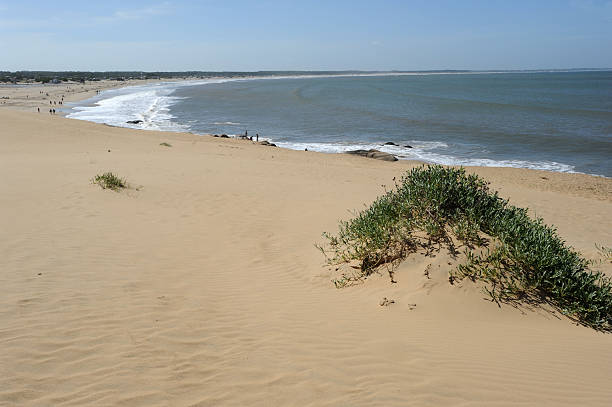 Sand dunes at Barra de Valizas