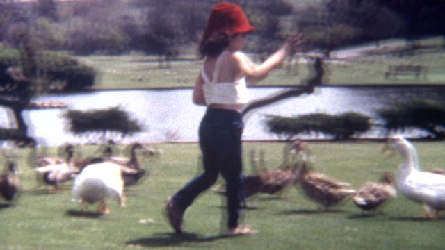 Feeding Ducks 1960's