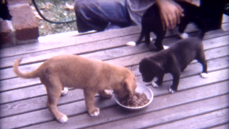 Puppy Chow 1960's