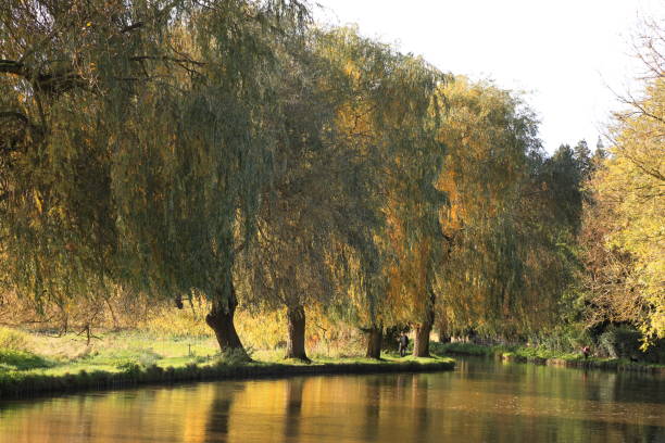 istock River Wey Guildford Surrey England 1859488123