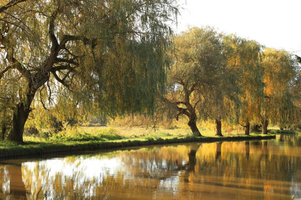 istock River Wey Guildford Surrey England 1859488124