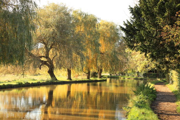 istock River Wey Guildford Surrey England 1859489165