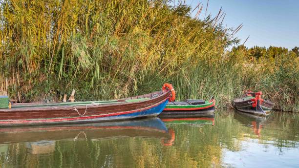 istock Brightly coloured boats on the lagoon 1859490235